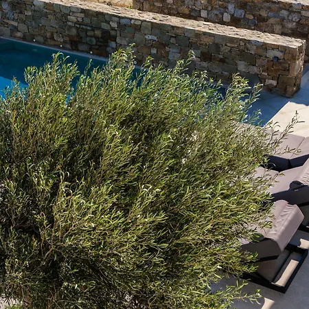 Villa Amnos Mykonos - A Blue Eye Collection