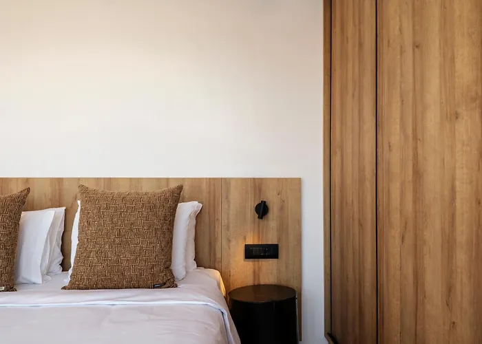 Amnos Mykonos - A Blue Eye Collection 别墅